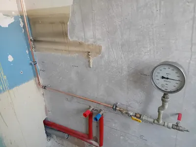 DM KANWOD DAWID MAŁEK